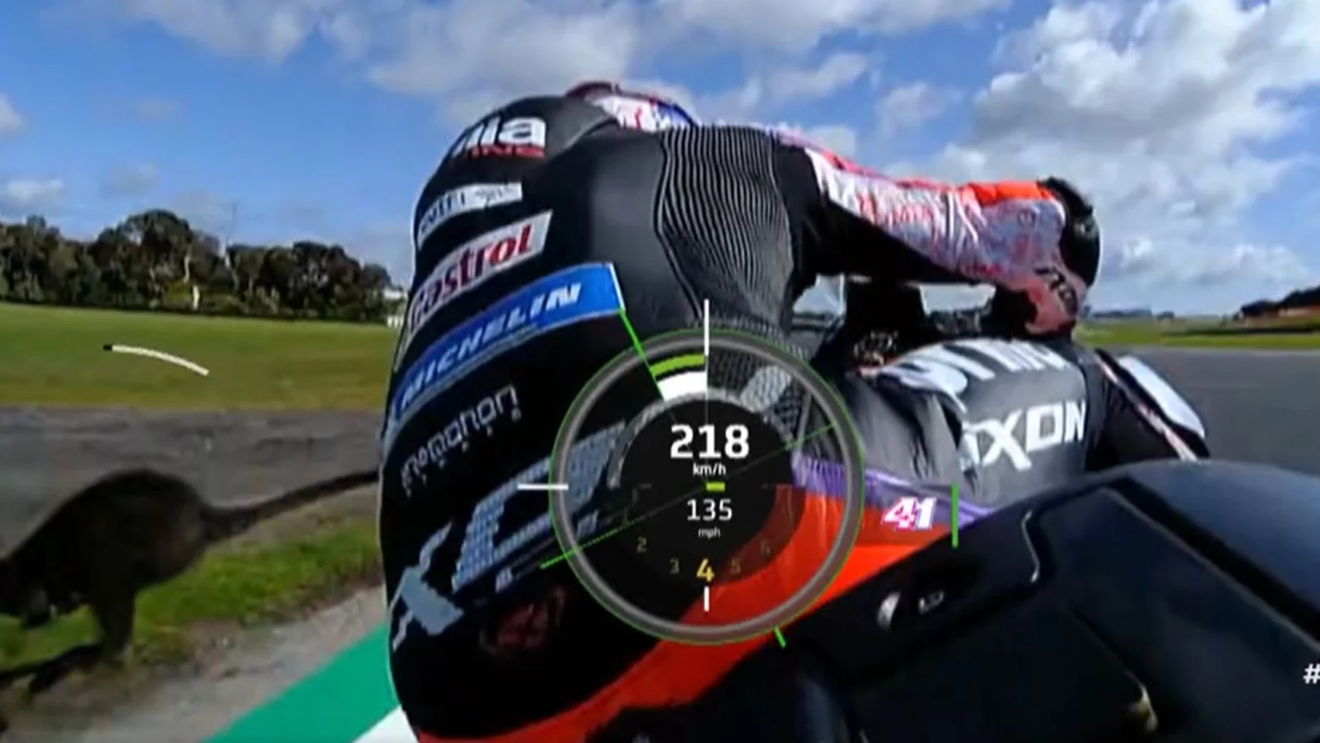El momento en el que el animal se cruza delante de la Aprilia de Aleix Espargaró en Phillip Island