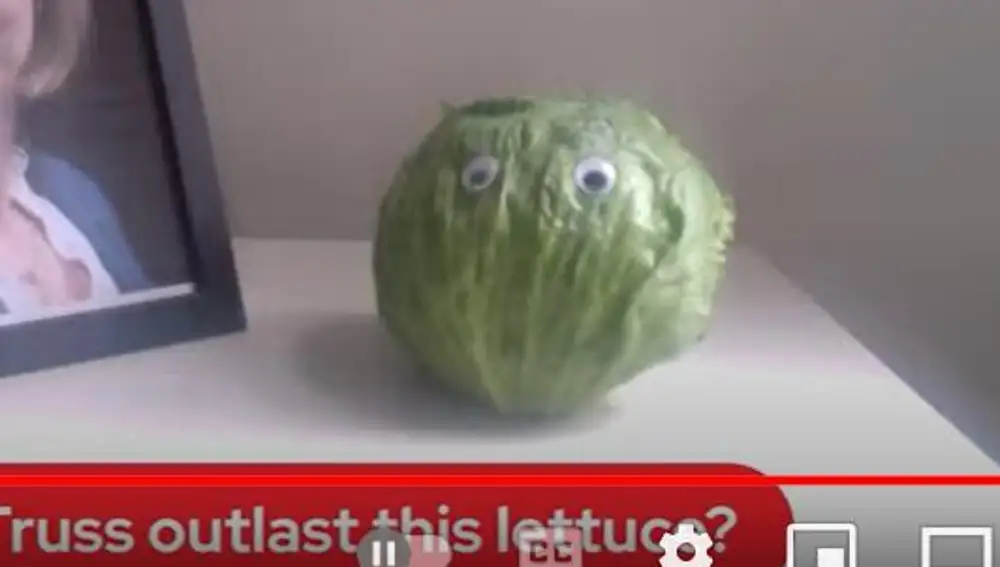 El detalle de los ojos