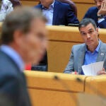 Pedro Sánchez y Alberto Núñez Feijóo, en el Senado