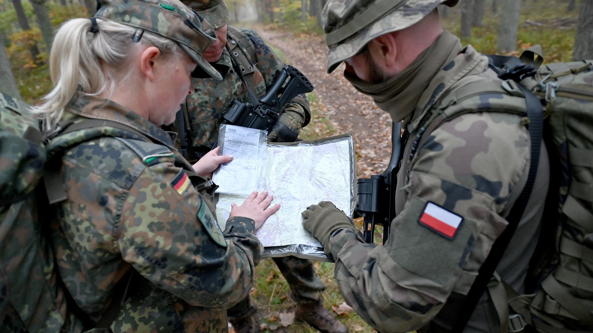 Ejercicios conjuntos celebrados el pasado día 22 entre los ejércitos de Polonia y Alemania en Torgelow