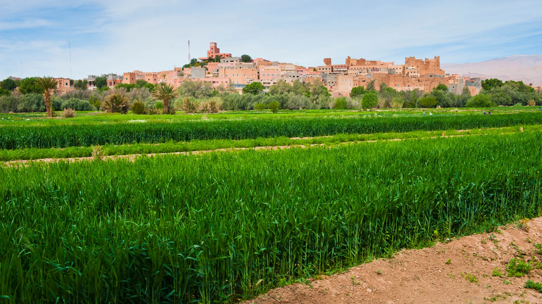 Tierras de cultivo en Marruecos