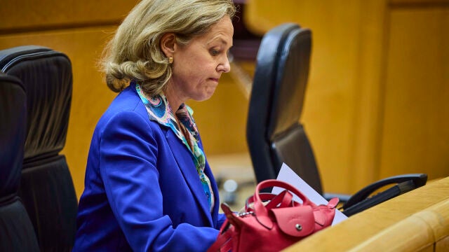 Nadia Calviño, vicepresidenta primera y ministra de Asuntos Económicos y Transformación Digital, durante la sesión de control al gobierno en el Senado