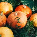 La calabaza es una fruta