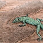 Reconstrucción artística del fósil Bellairsia gracilis tomando el sol sobre una huella de dinosaurio.