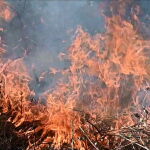Se Complican Los Incendios En Cantabria Aunque Reabre Su Tráfico Ferroviario