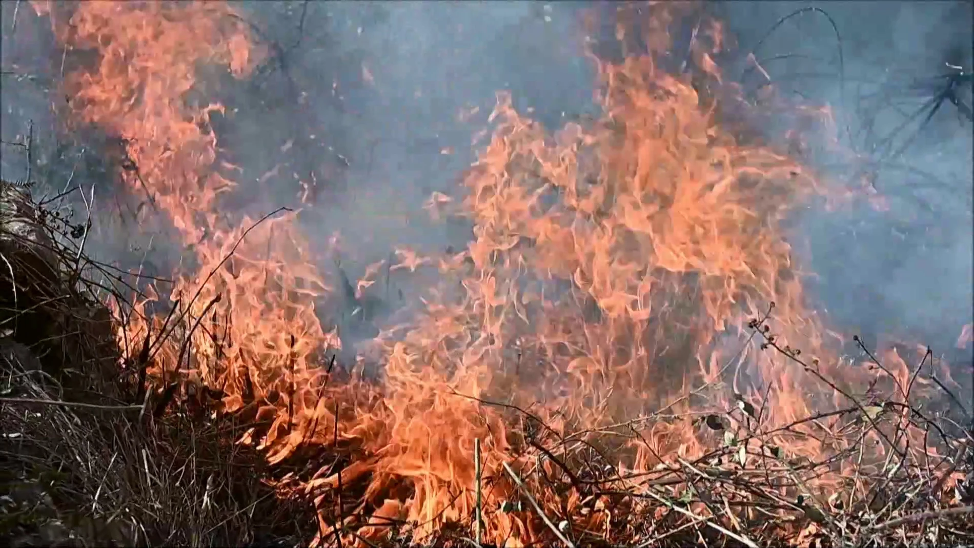 Se Complican Los Incendios En Cantabria Aunque Reabre Su Tráfico Ferroviario