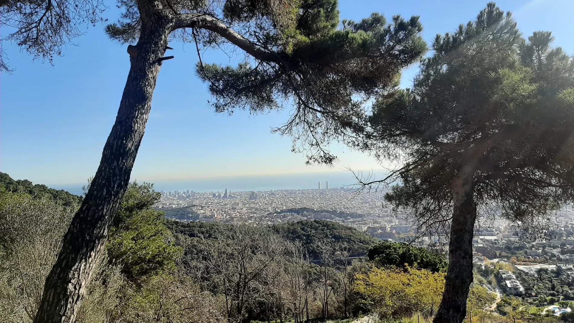 Vista de Barcelona desde lo alto de Collserola