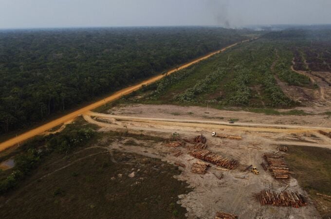 La deforestación en el Amazonas ha alcanzado cifras récord durante el mandato de Jair Bolsonaro