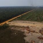 La deforestación en el Amazonas ha alcanzado cifras récord durante el mandato de Jair Bolsonaro