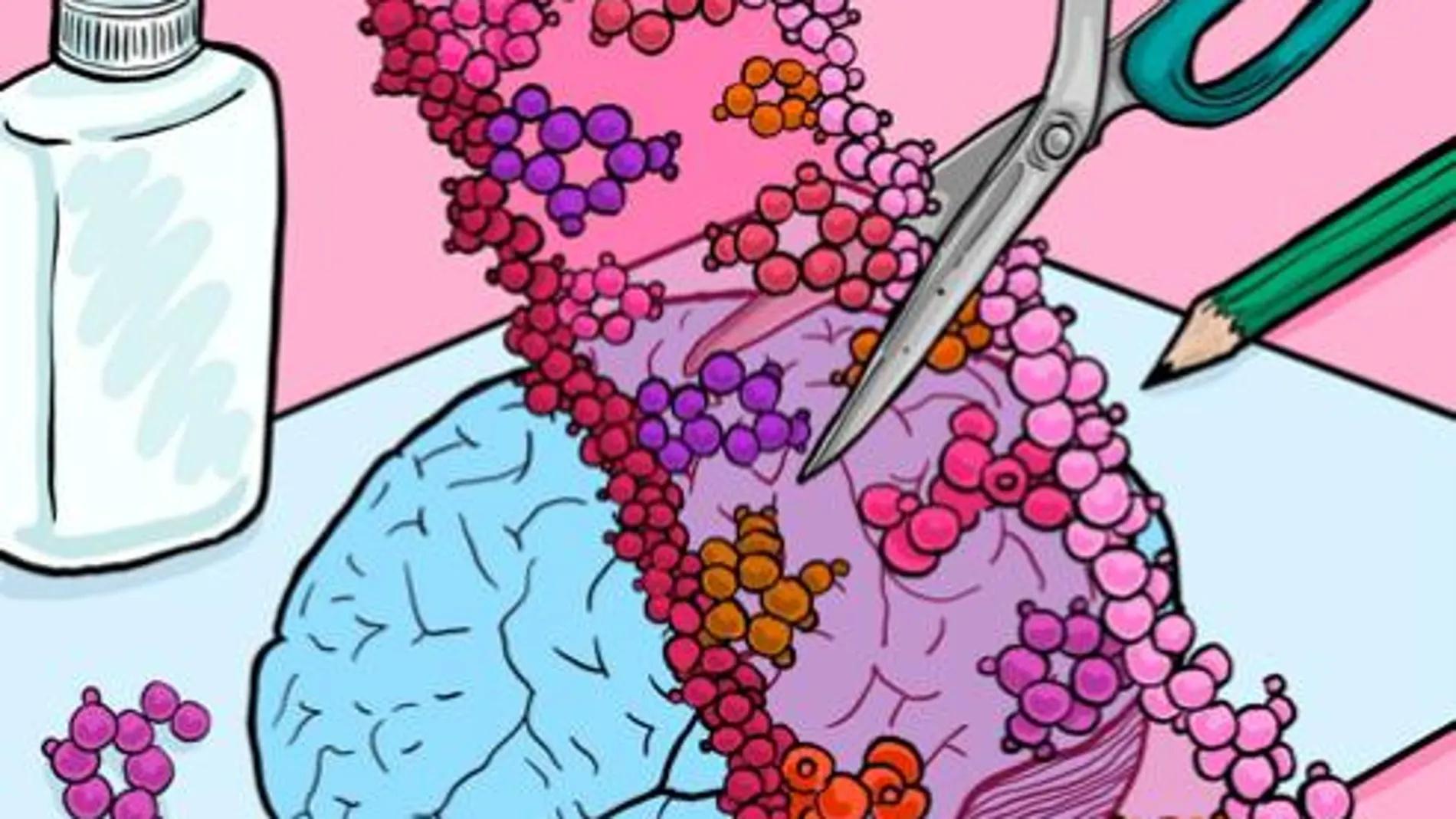 La edición de A-a-I, impulsada por las enzimas ADAR, funciona de forma muy parecida a una edición a gran escala del tipo cortar y pegar en las secuencias de pre-ARNm. En el cerebro, estas modificaciones naturales tienen diversos efectos sobre la expresión de los genes y la función de las proteínas a lo largo del neurodesarrollo.
