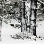 La nieve cubre las carreteras y los montes del pirineo navarro