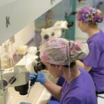 Científicos en un laboratorio de fertilidad