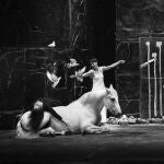 Txapakan, el caballo blanco que trotará junto a Camille Decourtye, será uno de los protagonistas de este montaje que también cuenta con una docena de palomas