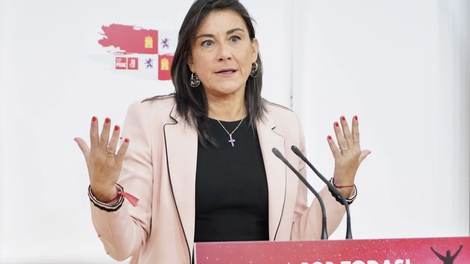 La secretaria de Organización del PSOE de Castilla y León, Ana Sánchez, atiende a la prensa