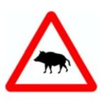 Señal que advierte de la presencia de animales salvajes en la carretera, especialmente jabalíes