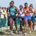 Varios atletas participan este sábado en la carrera absoluta masculino del XVIII Cross Internacional de Atapuerca. EFE/Santi Otero
