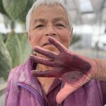 Obra de la artista Tania Candiani
