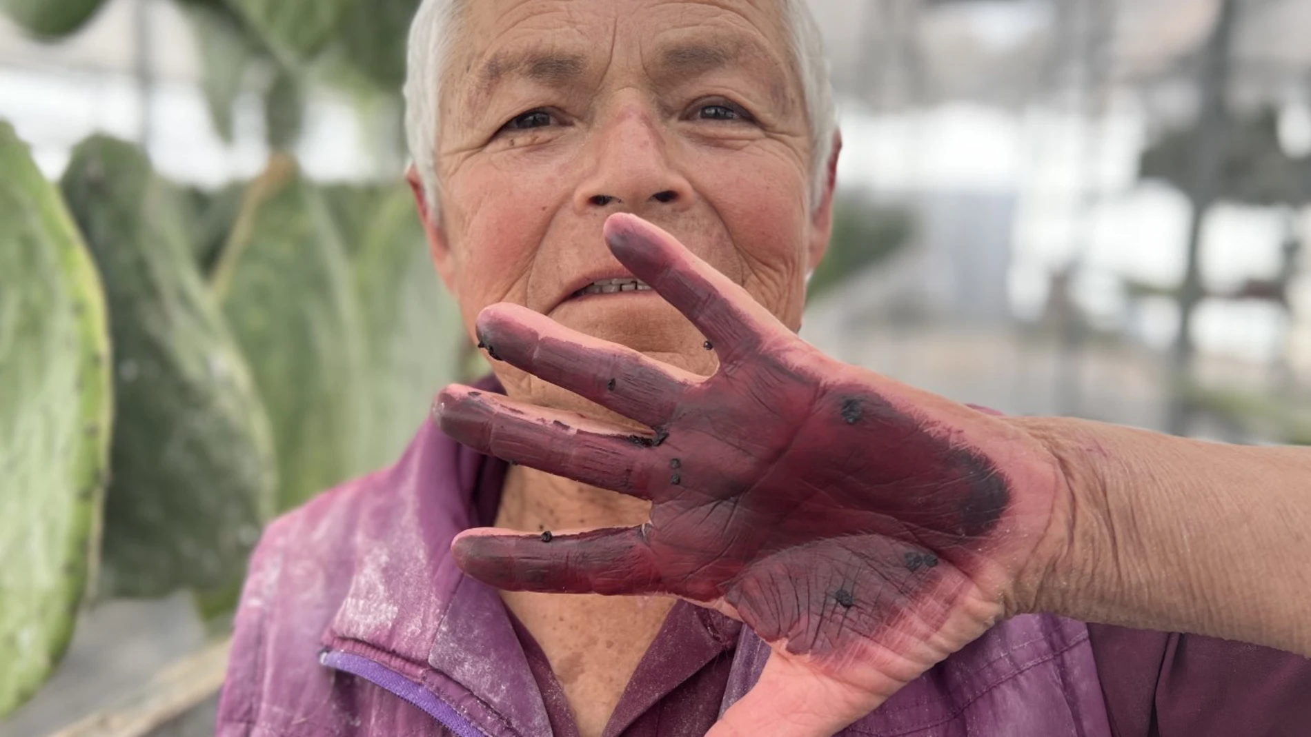 Obra de la artista Tania Candiani