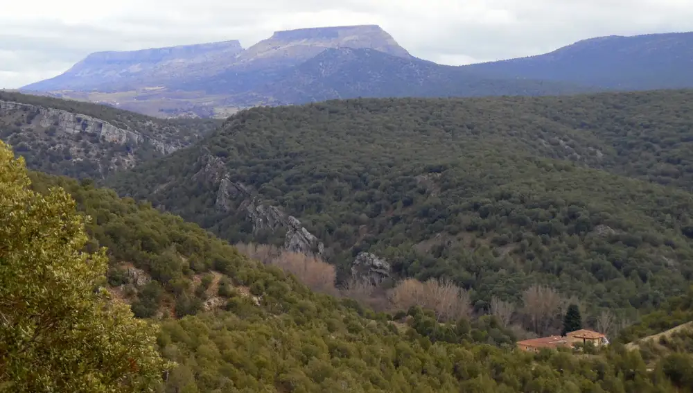 Parque Natural Sabinares del Arlanza-Yecla