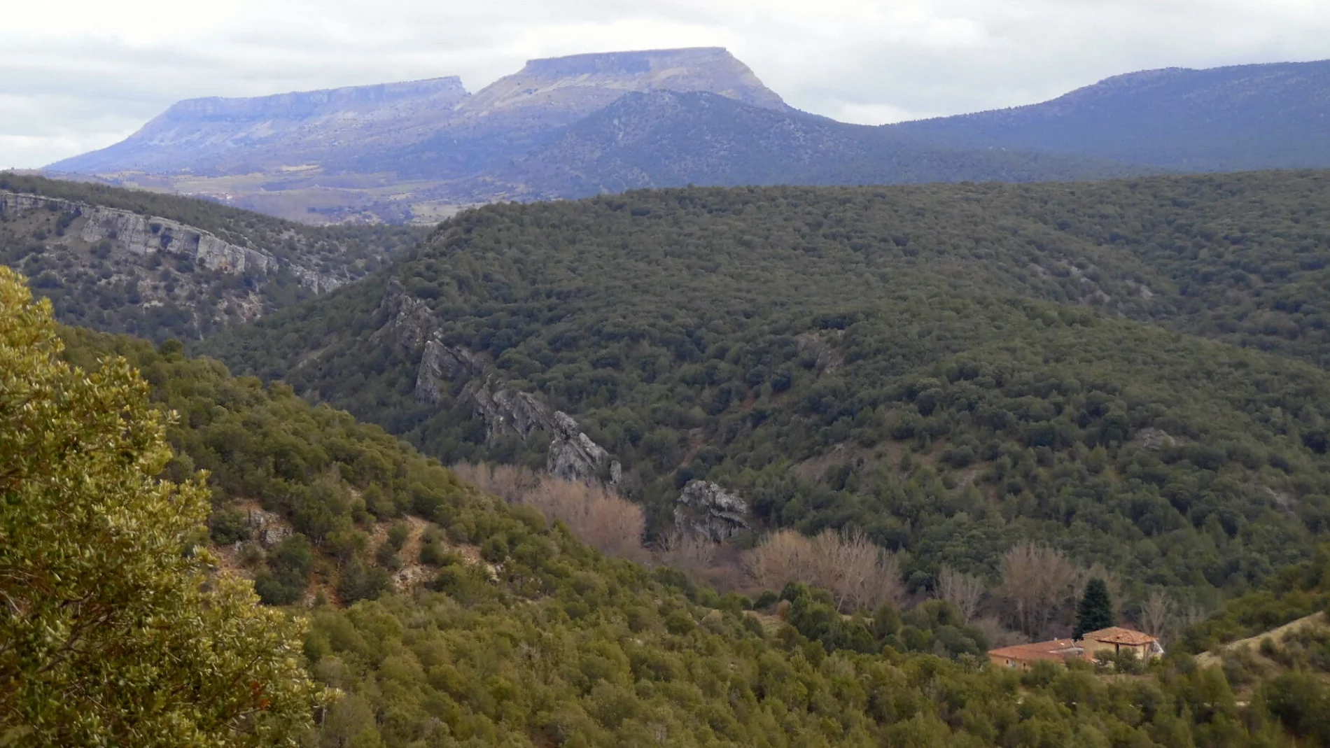 Parque Natural Sabinares del Arlanza-Yecla