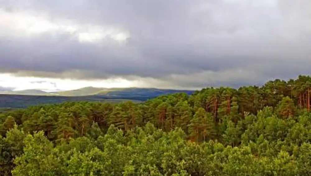 Valle del Alberche y Tierra de Pinares, en Ávila
