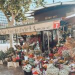 Floristería Violeta Lolín, ubicada en la plaza del Ayuntamiento de Valencia y también en el barrio de Benimaclet