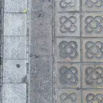 La clásica baldosa de Barcelona, el "Panot"