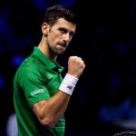 Djokovic celebra la victoria ante Taylor Fritz