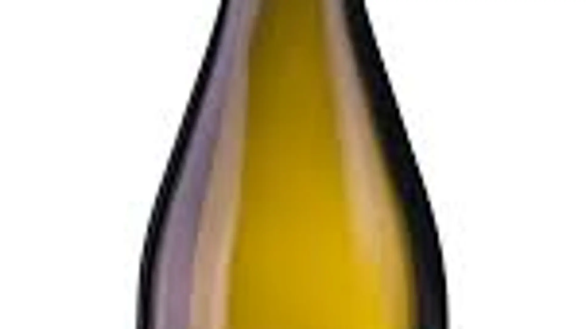 Bodegas Martúe