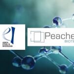 Peaches Biotech obtiene la aprobación financiera de Ciencia para dos proyectos de terapias avanzadas