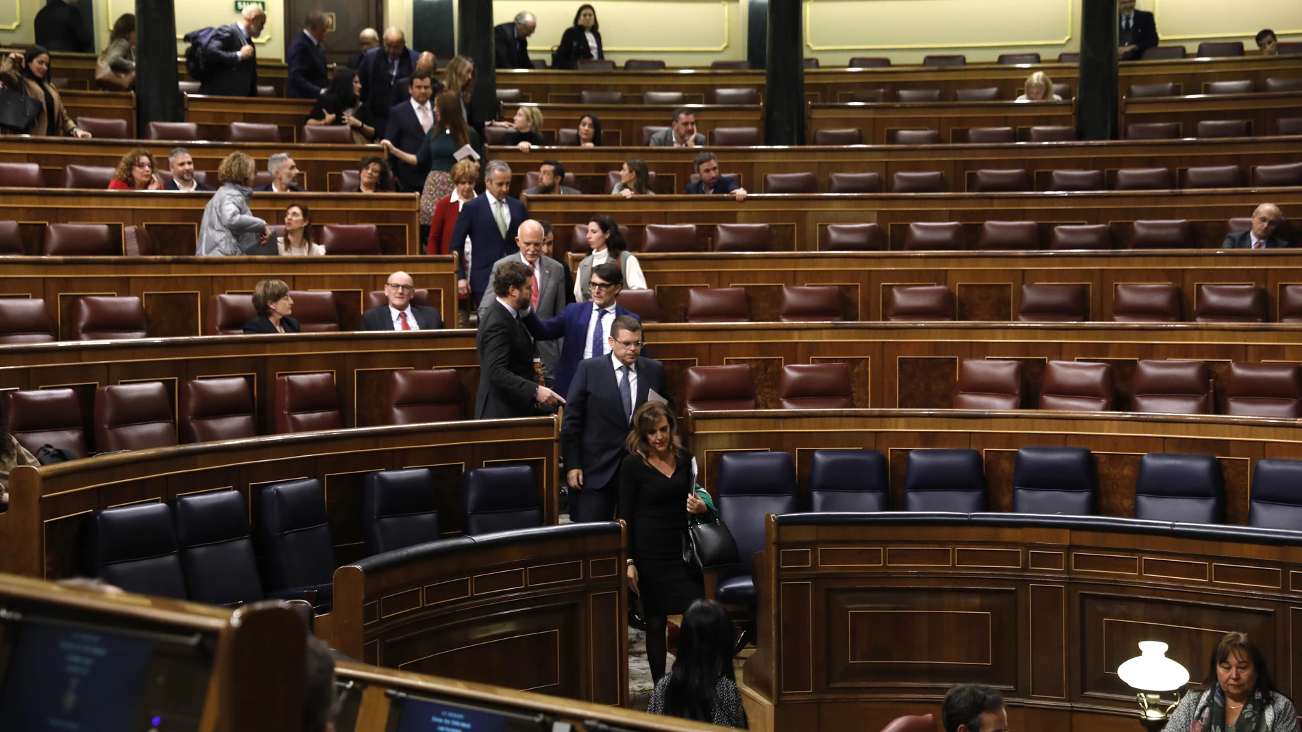 Pleno en el Congreso. La diputada de VOX, Patricia Rueda utiliza la palabra "filoetarra" y es retirada de su turno de palabra ante su negativa de no retirarla a demanda de la presidencia.
