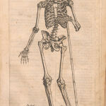 Grabado perteneciente a la "Historia de la composición del cuerpo humano" del doctor Juan Valverde de Amusco. Obra impresa en 1556 en Roma.