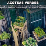 Contra la dictadura del cemento