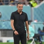 Luis Enrique, durante el partido ante Japón