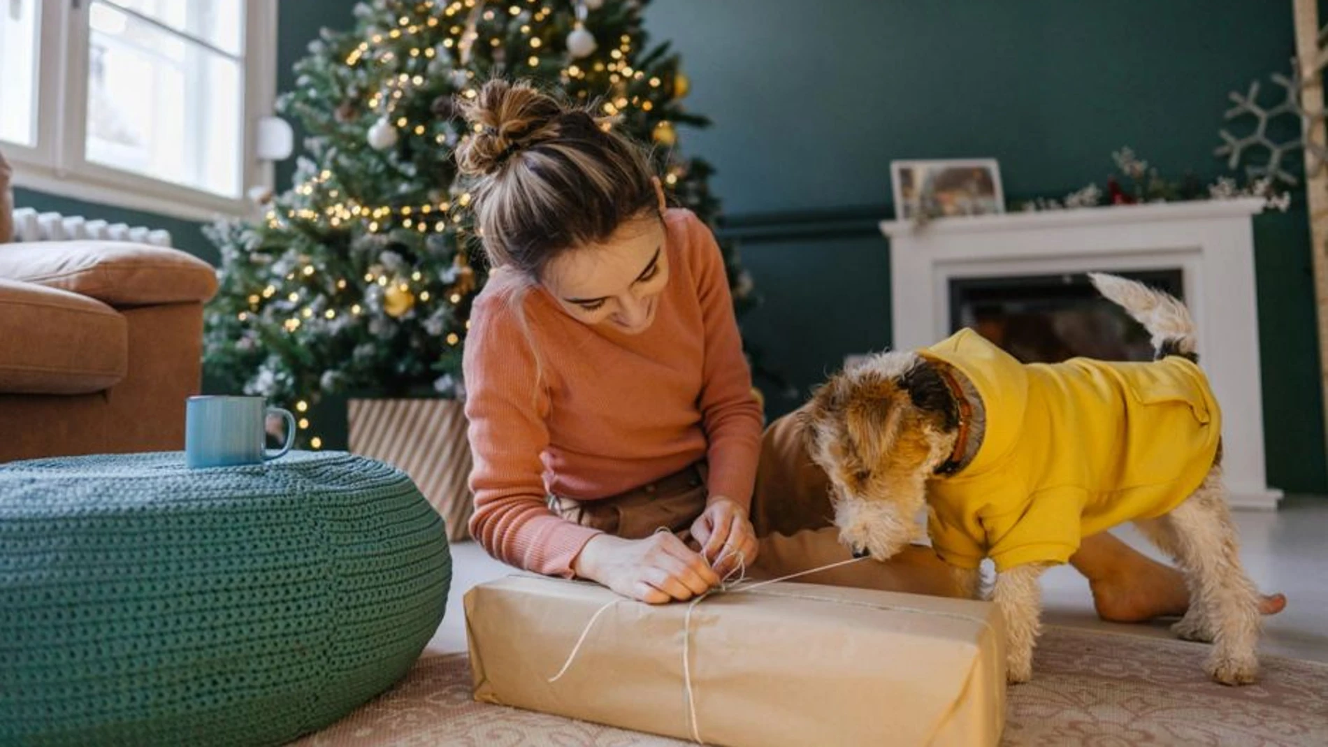 11 ideas de regalos para perros y gatos para alegrarles la Navidad