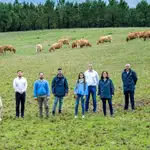 En la primera fase se tratarían 1,24 millones de toneladas de purines excedentarios y se producirían unos 300 GWh de biometano