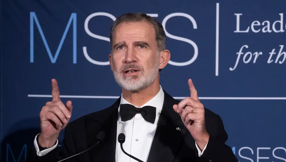 El Rey Felipe VI