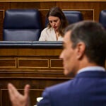 El presidente del Gobierno, Pedro Sánchez y la ministra de Igualdad, Irene Montero durante una sesión de control al gobierno en el Congreso