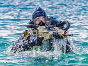 Una imagen de la Infanter&iacute;a de Marina de la Armada