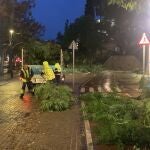 Incidentes en Marbella por el temporal. AYUNTAMIENTO DE MARBELLA