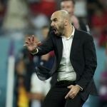 Walid Regragui, en el partido ante España con el que Marruecos se metió en cuartos de final
