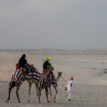 Turistas dan un paseo en camello