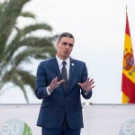 El TC y el CGPJ: la anomalía española