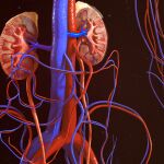 En la década 2006-2016, la enfermedad renal crónica fue la segunda patología que más creció tras el alzhéimer / DREAMSTIME