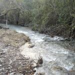 Un río en la sierra de Grazalema, Cádiz