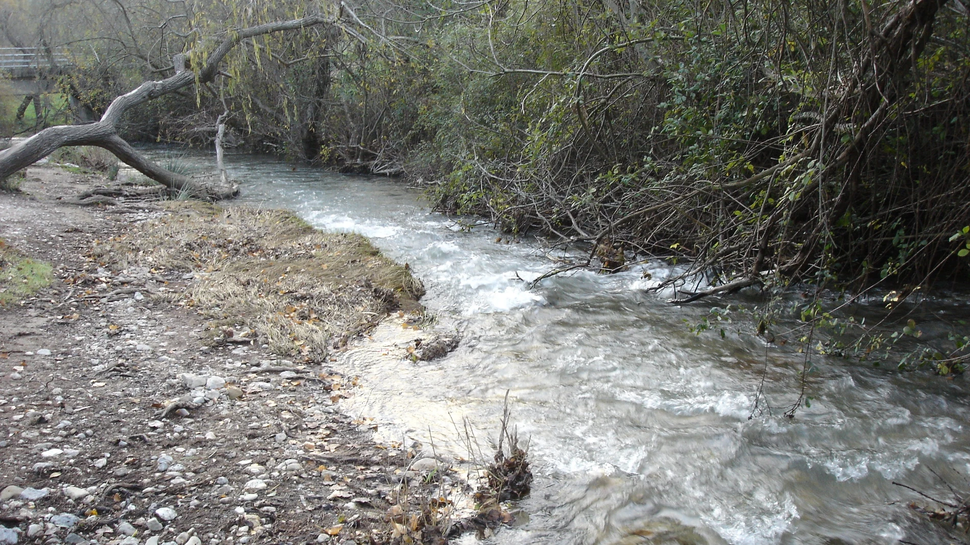 Un río en la sierra de Grazalema, Cádiz