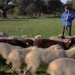 La televisión pública alemana DW elige Castilla y León para poner en valor el medio rural y el oficio de pastor