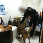 Operación contra la explotación sexual en Valladolid donde han sido liberadas trece mujeres