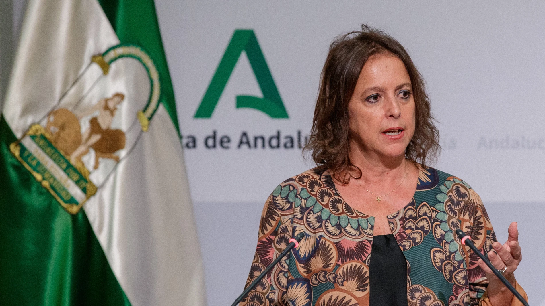 La consejera de Salud, Catalina García, durante la rueda de prensa tras la reunión del Consejo de Gobierno