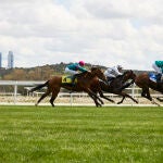 Mañana concluye la temporada de carreras del Hipódromo La Zarzuela con el «Family Day», una jornada navideña muy especial